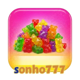 sonho777